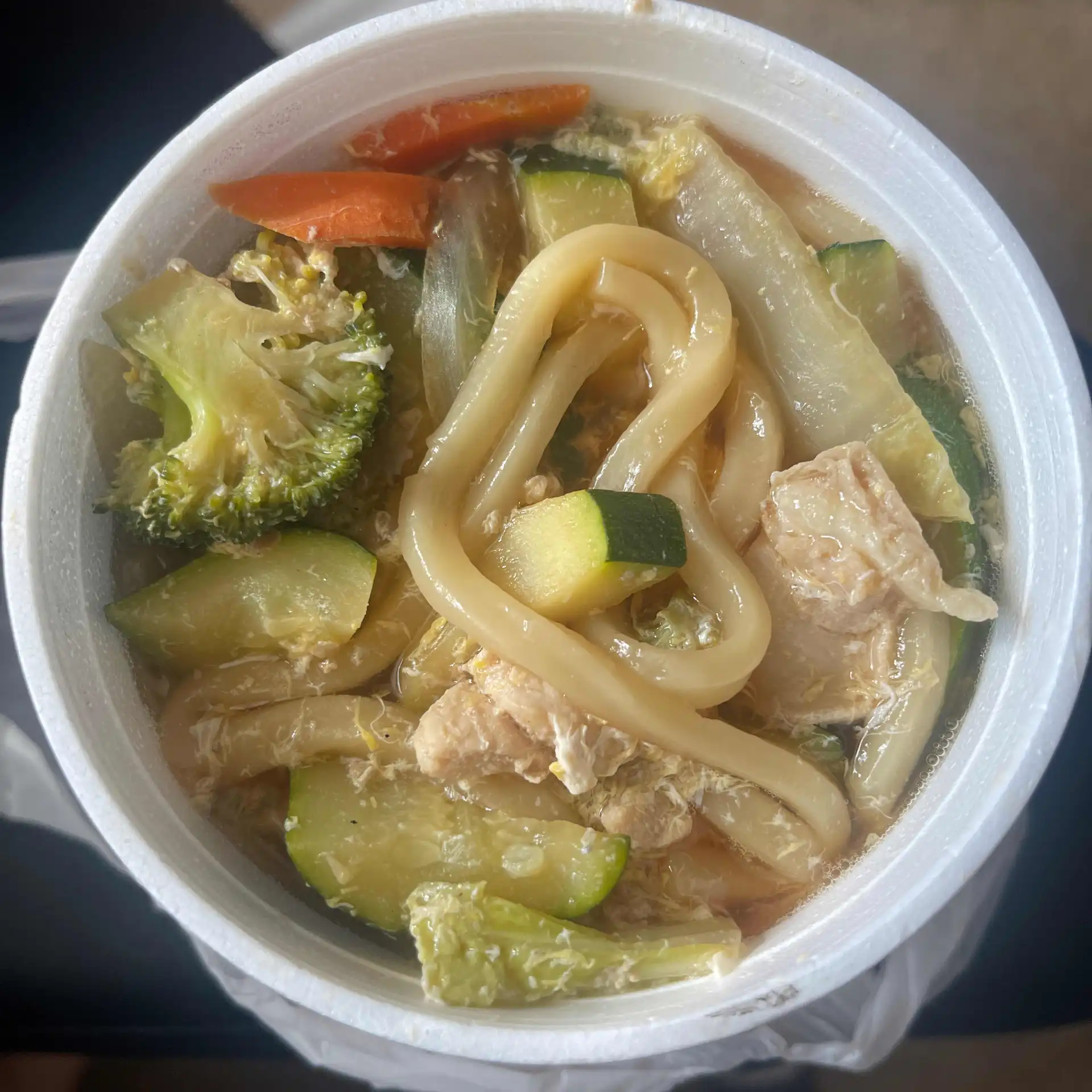 Udon Noodle Soup